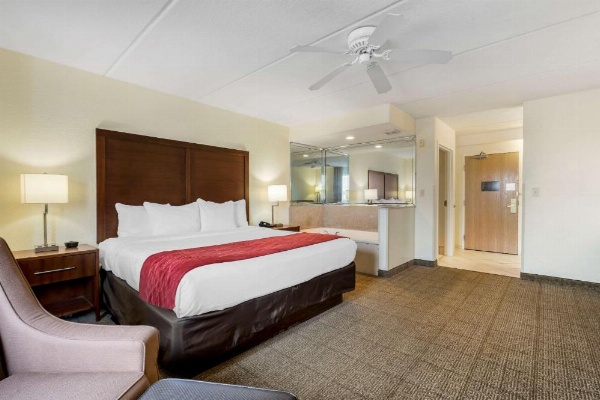 Comfort Inn Kissimmee image 16