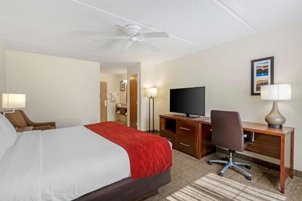 Comfort Inn Kissimmee image 9